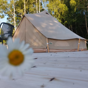 Glamping tent Wood